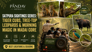 Spa Getaways for Couples | Pandav Hotels