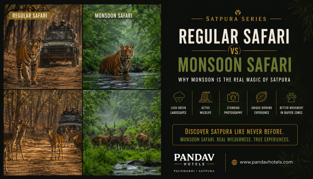 Best Safari Resort in Madhai