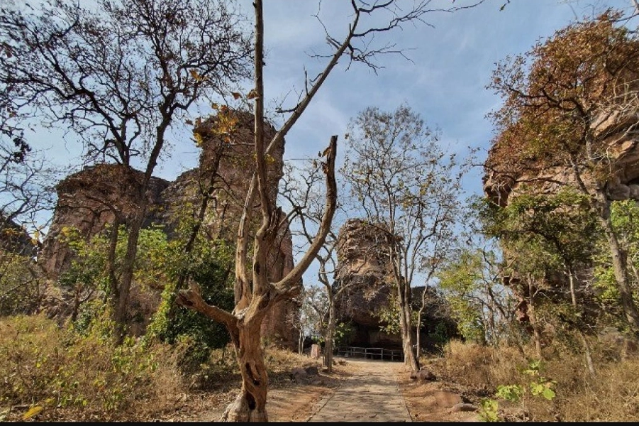 Madhai - Landscape Flora & Fauna 6 Tiger - resorts in madhai - hotels in madhai