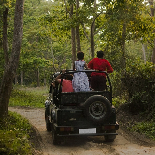 Activities in Pachmarhi