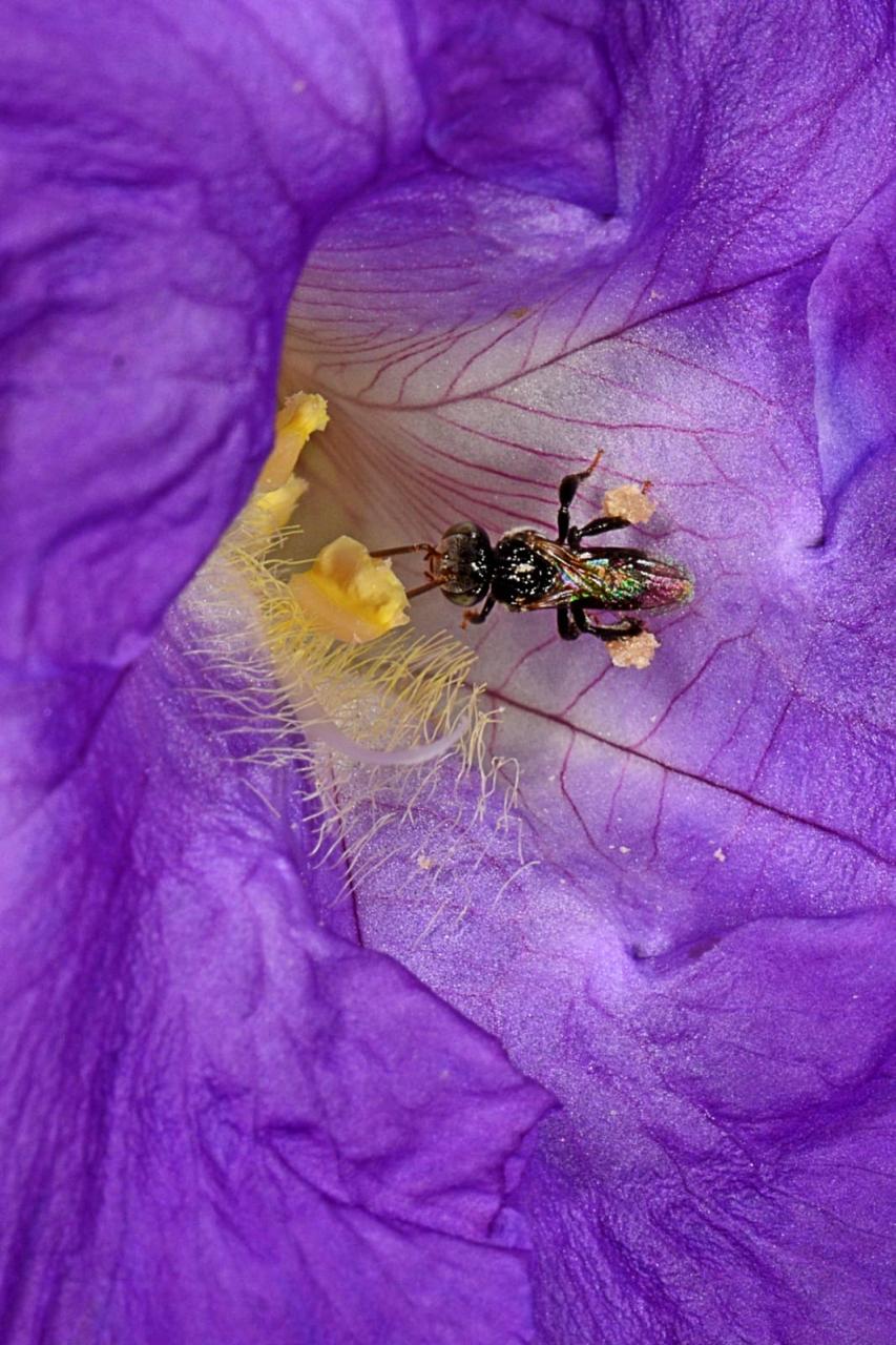 Macro Techniques